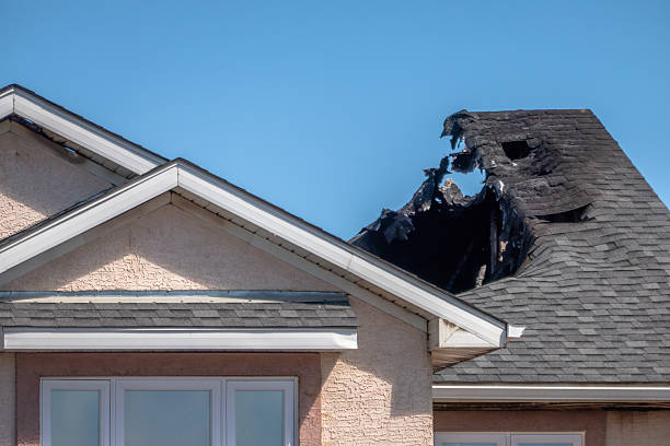 Top rated local Fire Damage Removal specialists in Hudson, TX